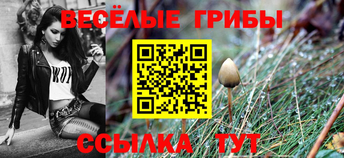 Галлюциногенные грибы Psilocybe Белорецк