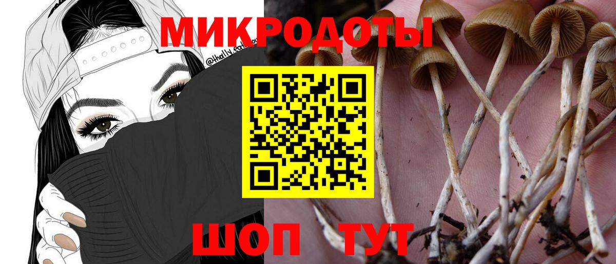купить наркотики цена  Галлюциногенные грибы ЛСД  Вход с VPN  Белорецк 